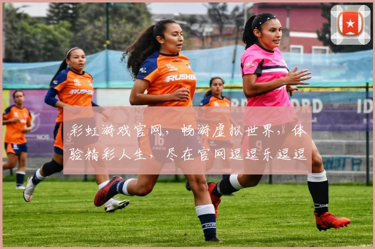 彩虹游戏官网，畅游虚拟世界，体验精彩人生，尽在官网逗逗乐逗逗乐