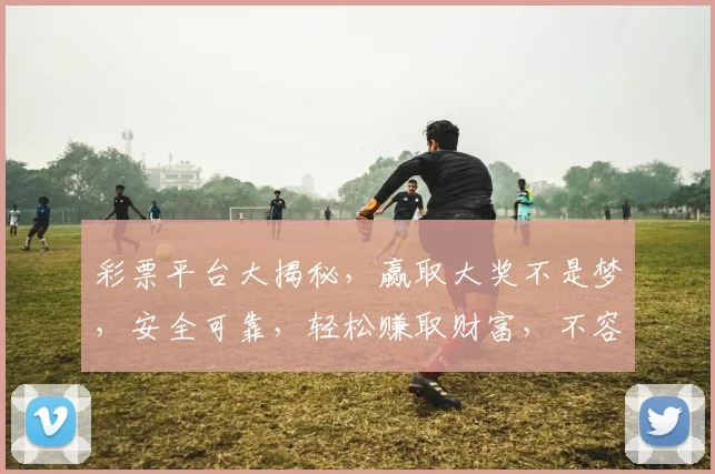 彩票平台大揭秘，赢取大奖不是梦，安全可靠，轻松赚取财富，不容错过