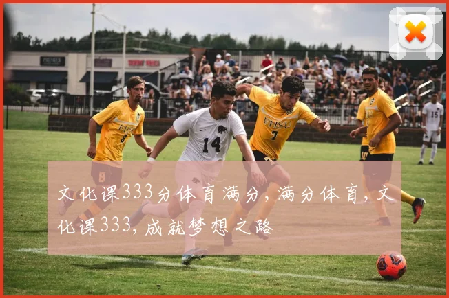 文化课333分体育满分,满分体育,文化课333,成就梦想之路